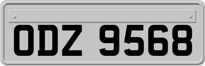 ODZ9568
