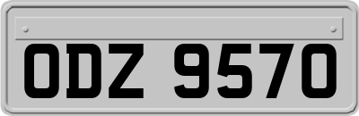 ODZ9570