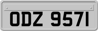 ODZ9571