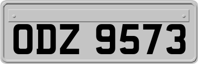 ODZ9573