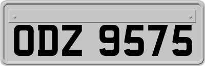 ODZ9575