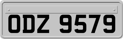 ODZ9579