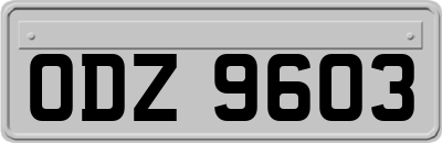 ODZ9603