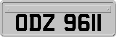 ODZ9611