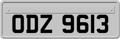 ODZ9613