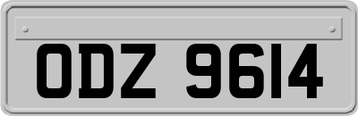 ODZ9614