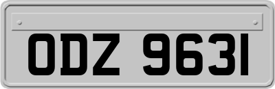 ODZ9631
