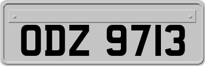 ODZ9713