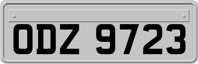 ODZ9723