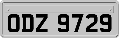 ODZ9729