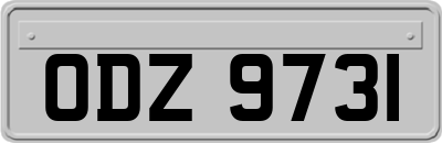 ODZ9731