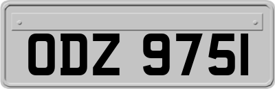 ODZ9751