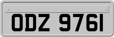 ODZ9761