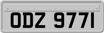 ODZ9771