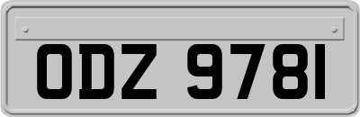ODZ9781