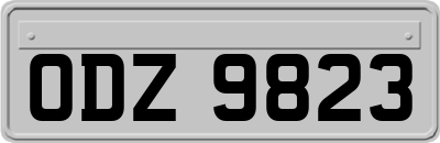 ODZ9823