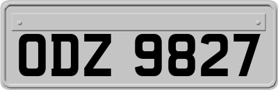 ODZ9827