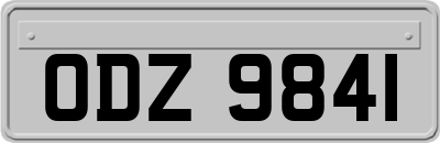ODZ9841