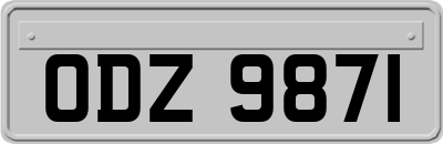 ODZ9871