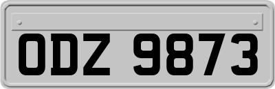 ODZ9873
