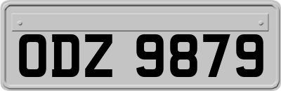 ODZ9879