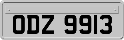 ODZ9913