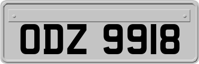 ODZ9918