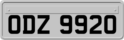 ODZ9920
