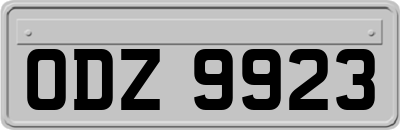 ODZ9923