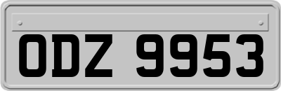 ODZ9953