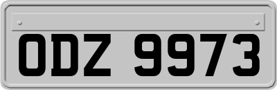 ODZ9973