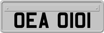 OEA0101
