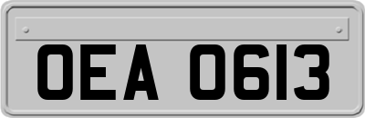 OEA0613