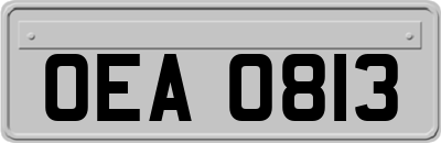 OEA0813