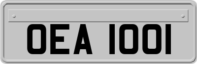 OEA1001
