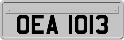 OEA1013