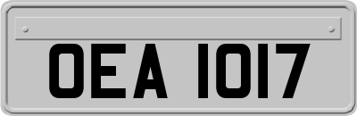 OEA1017