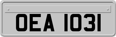 OEA1031