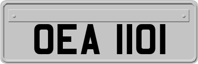 OEA1101