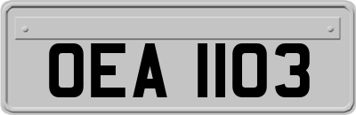 OEA1103