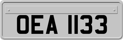 OEA1133