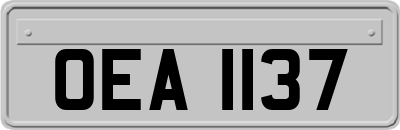 OEA1137