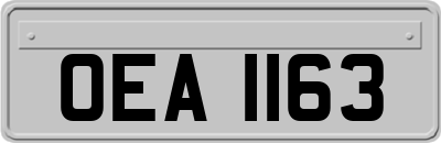 OEA1163