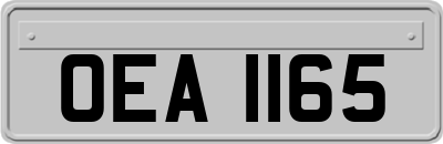 OEA1165