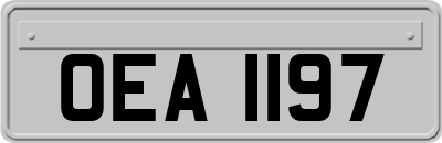 OEA1197
