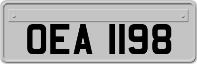 OEA1198