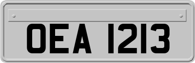 OEA1213
