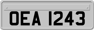OEA1243