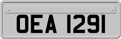 OEA1291