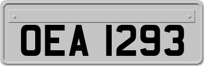 OEA1293